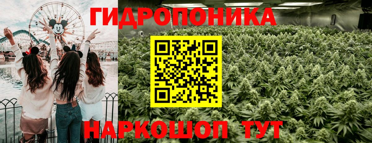 Бошки Шишки марихуана  Вход с VPN  Ухта  Конопля VHQ  Каннабис сатива 